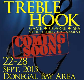 Donegal Treble Hook.jpg